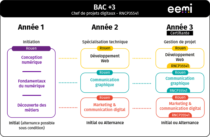 Cursus NWS Bachelors
